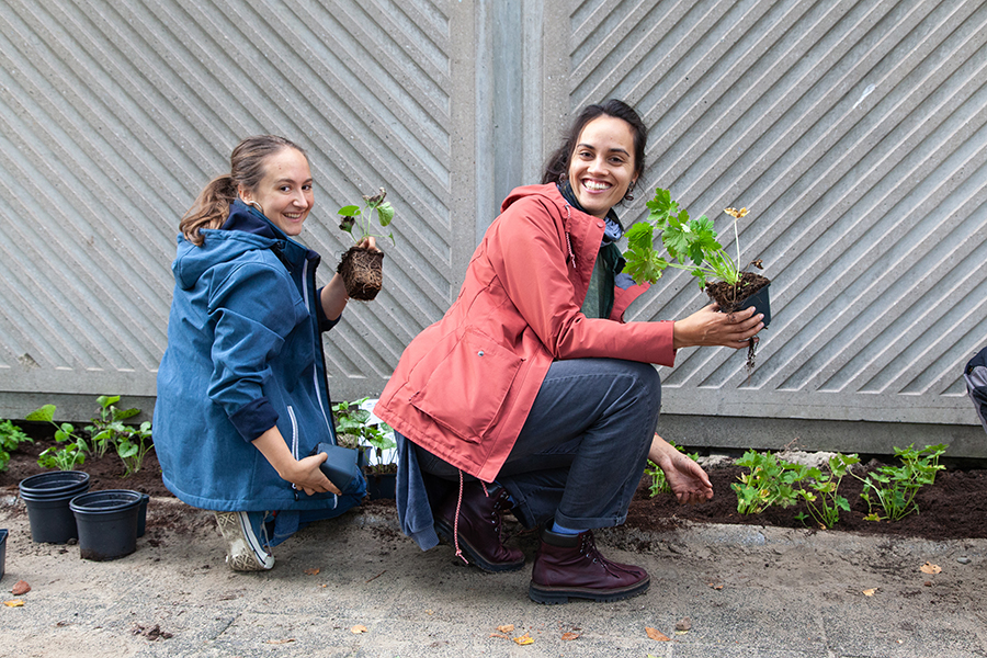 Twee vrouwen planten plantjes in een tuin