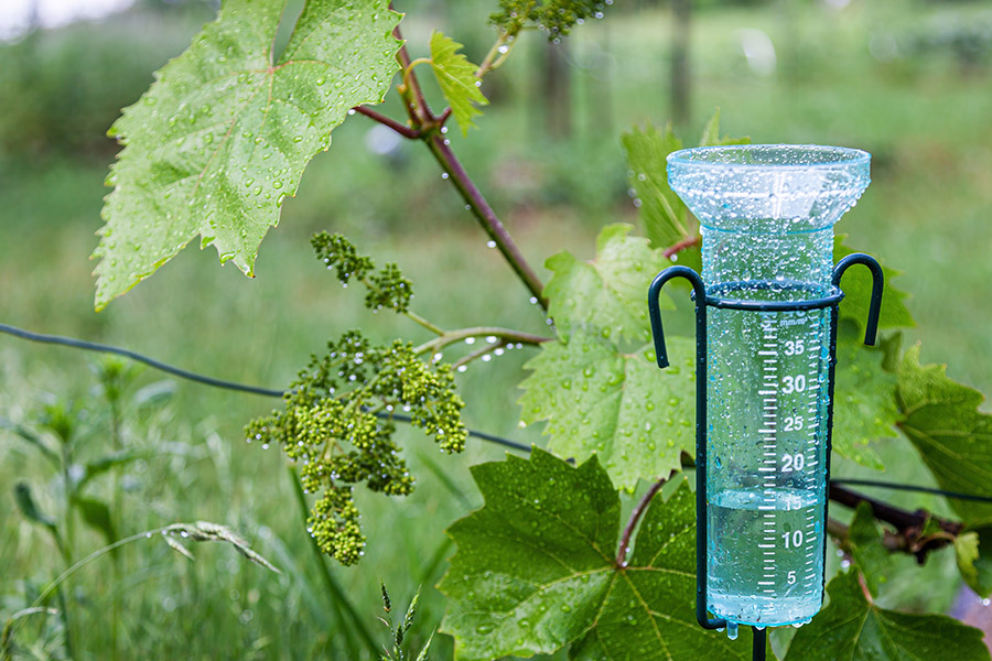 Regenmeter in tuin